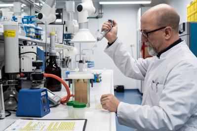 Mycotoxins analysis food
