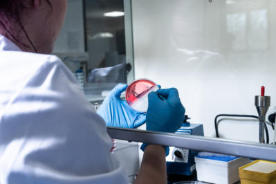 Kosmetik Analytik Mikrobio Preview DSC 5166