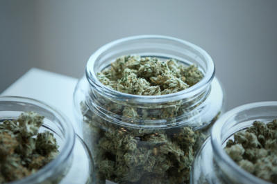 tentamus hemp CBD analysis add weed Bu6BSErSL M unsplash