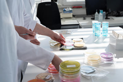 hygiene audit+haccp header DSC 6277