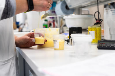 GMO analysis food