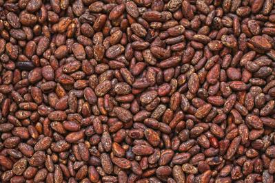 Analysis origin cocoa