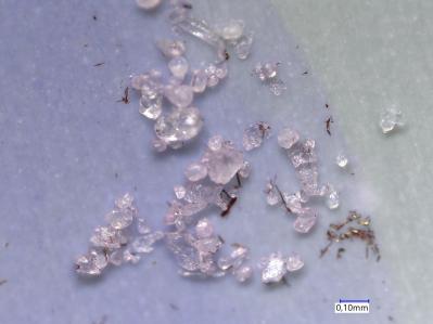 Mikroplastik